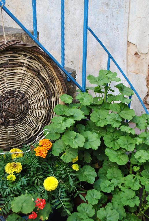 Florina Hotel Ayvalik Exterior photo